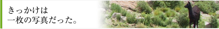 きっかけは一枚の写真だった。
